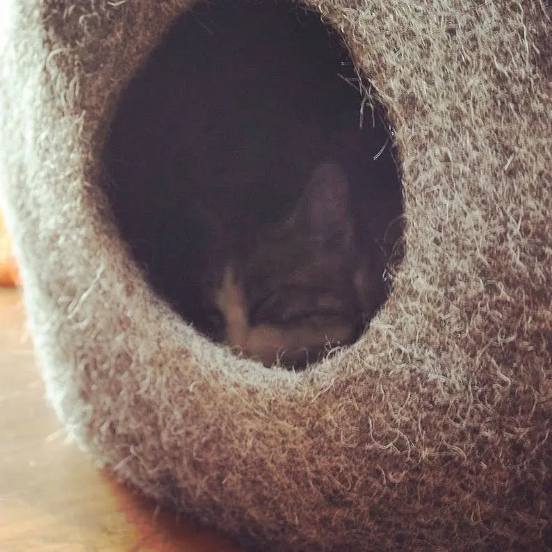 natural alpine natural wool: the perfect cat lover gift, modern, a fairytale decor for your home